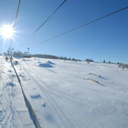 Charming In The Heart Of Gerardmer! Apartment Gerardmer