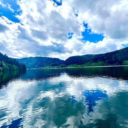 Charming In The Heart Of Gerardmer! Apartment Gerardmer