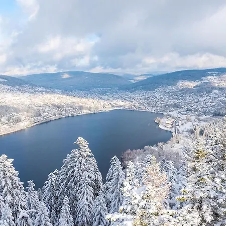 Charming In The Heart Of Gerardmer! Apartment Gerardmer