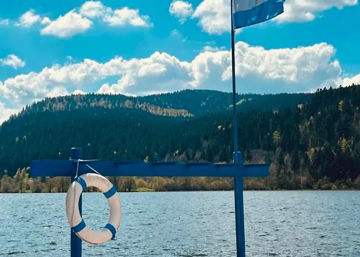 Charming In The Heart Of Gerardmer! * Gérardmer