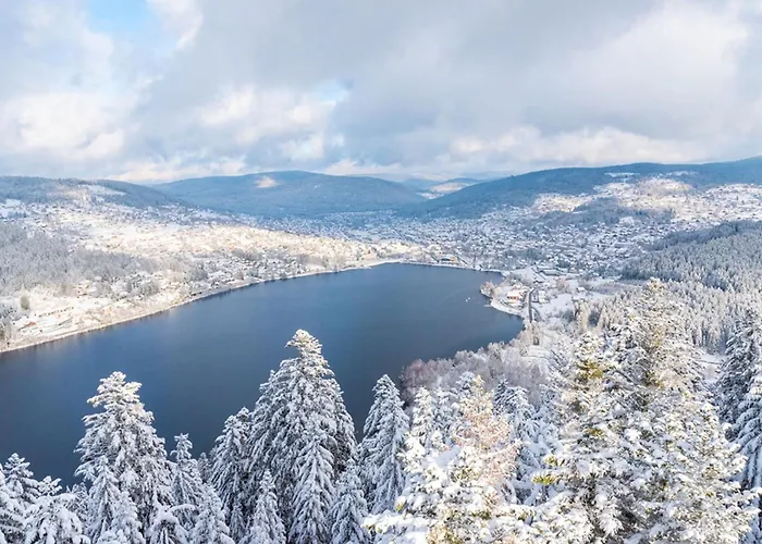 Charming In The Heart Of Gerardmer! Apartmán *