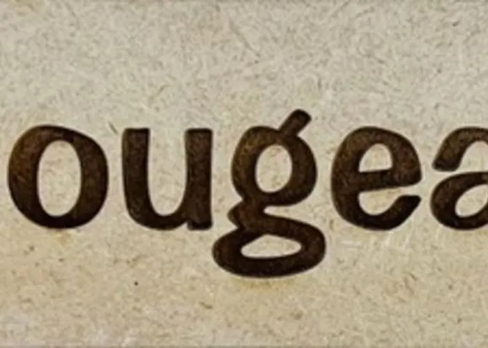 Appartement Cozy-chic In The Heart Of Gérardmer!